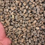 Arabica Wet Hull
