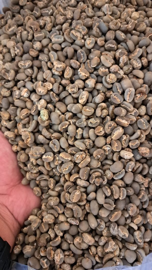 Arabica Wet Hull