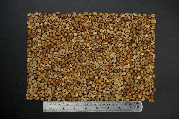 Arabica Wine