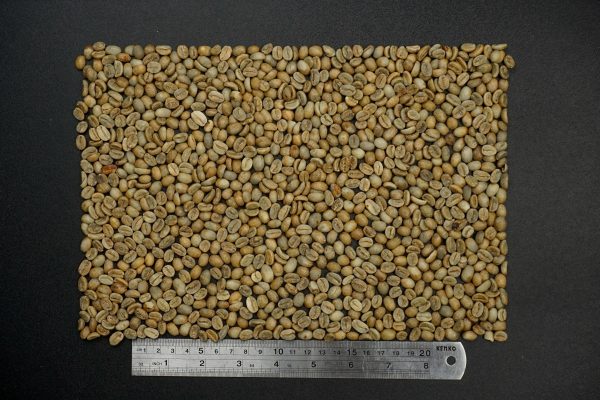 Arabica Natural