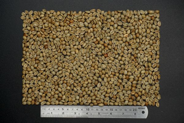 Arabica Honey
