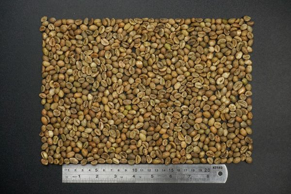 Robusta Natural