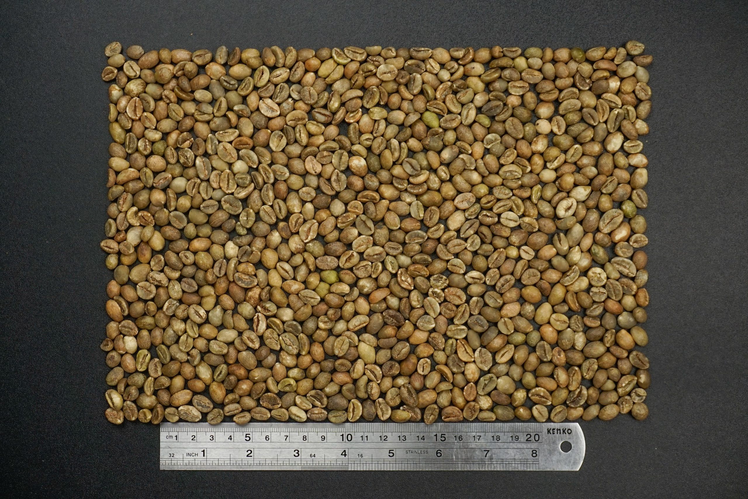 Robusta Natural