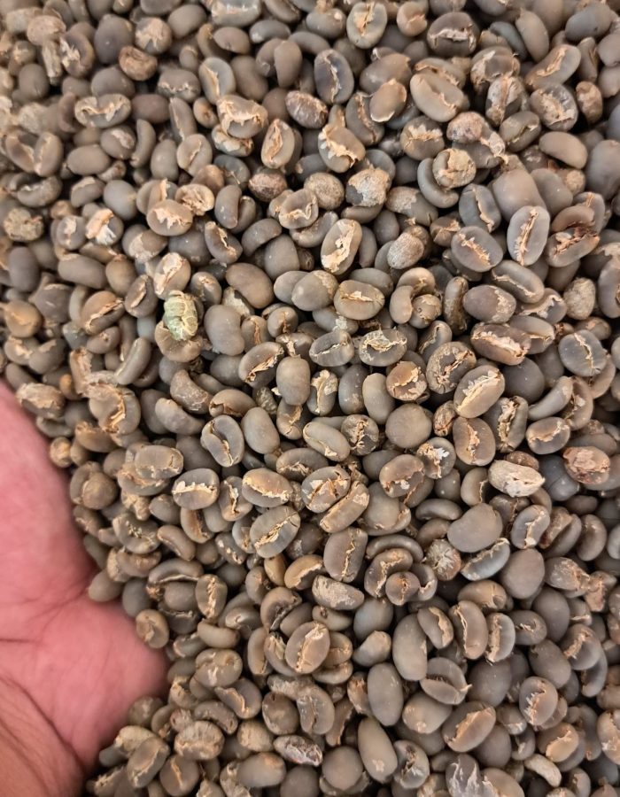 Arabica Wet Hull