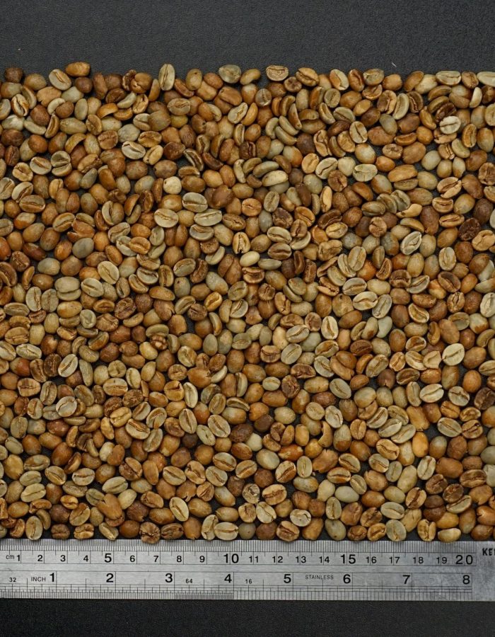 Arabica Wine