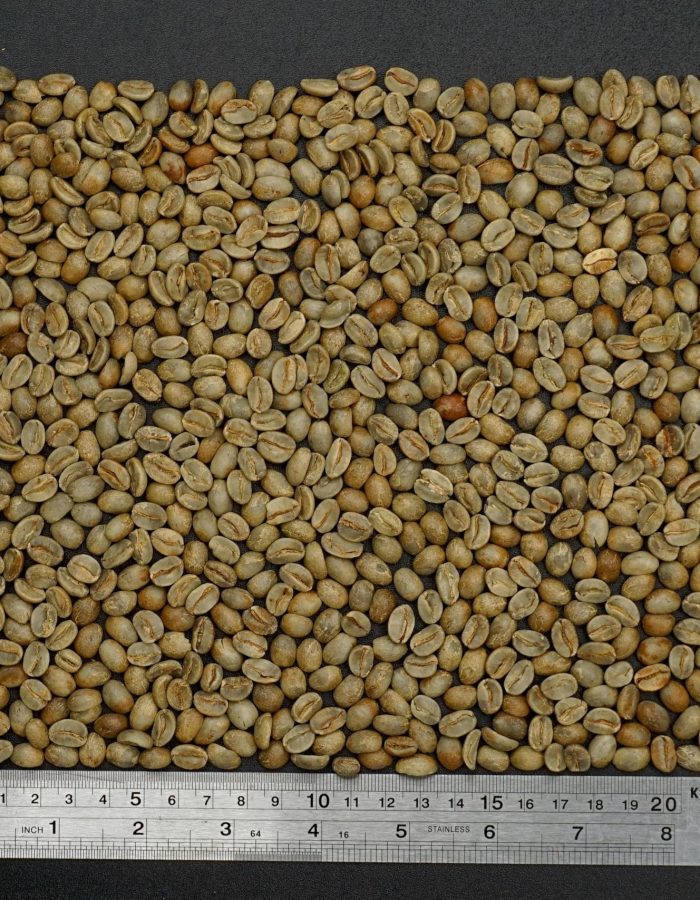 Arabica Honey