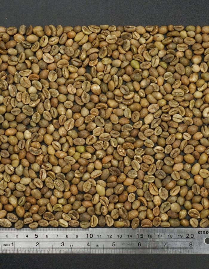 Robusta Natural